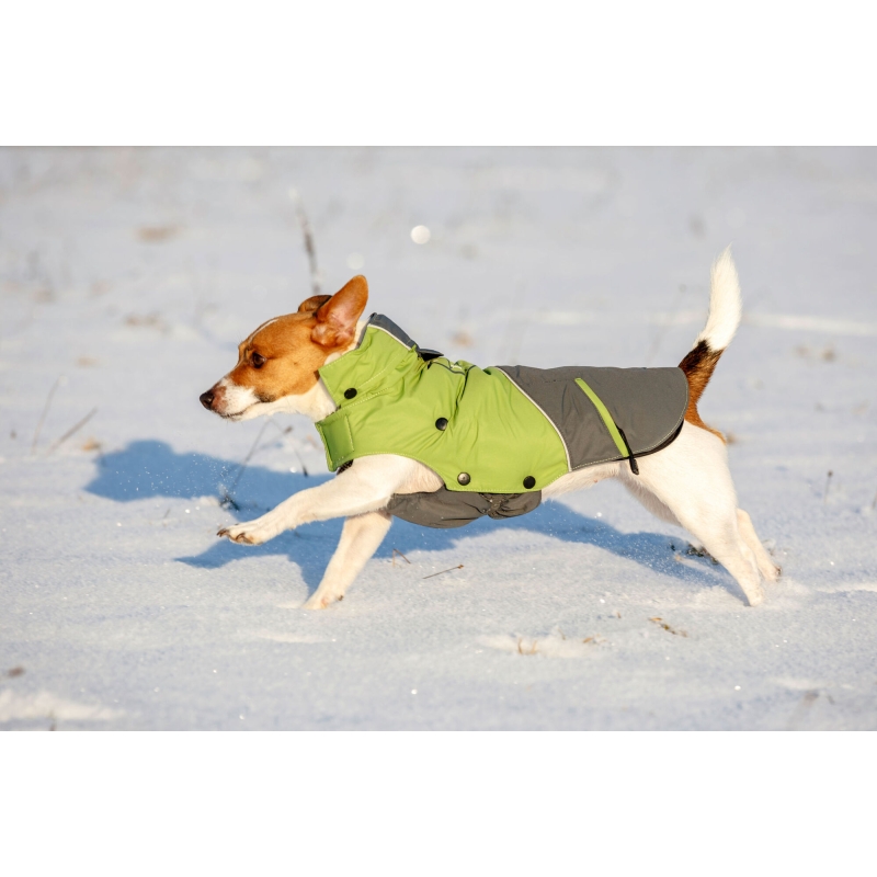 Manteau pour chien Vancouver gris-vert, XL, 50 cm - 81410