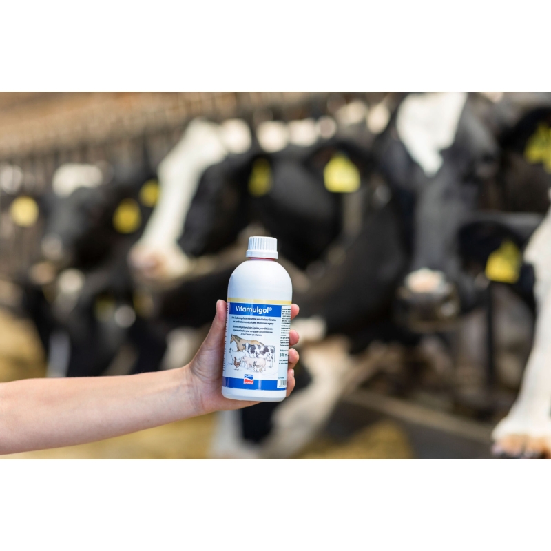 Vitamulgol 500ml  TVA 5.5 % - 15773