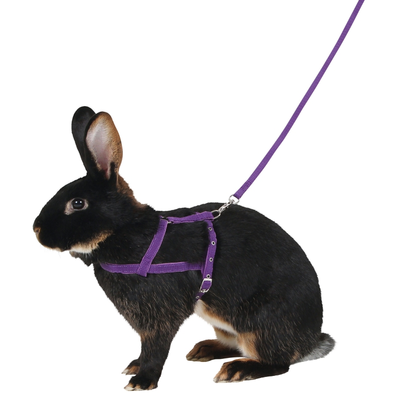 Schoudertuig Agility met lijn, 2m, lila, L - 81761