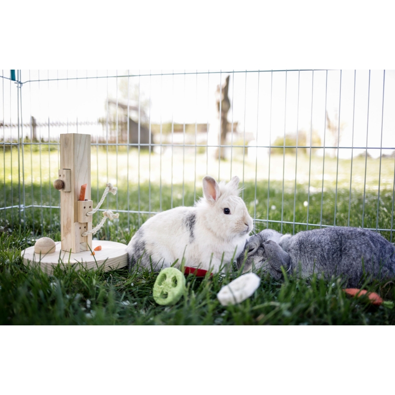 Denk- en leerspeelgoed knaag- dieren Feedtree 25x25x30cm - 81764