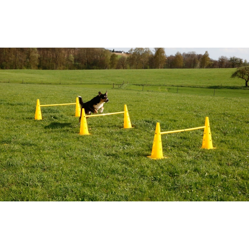 Agility Pylonen-H&uuml;rden Set, gelb, 3 H&uuml;rden - 81994