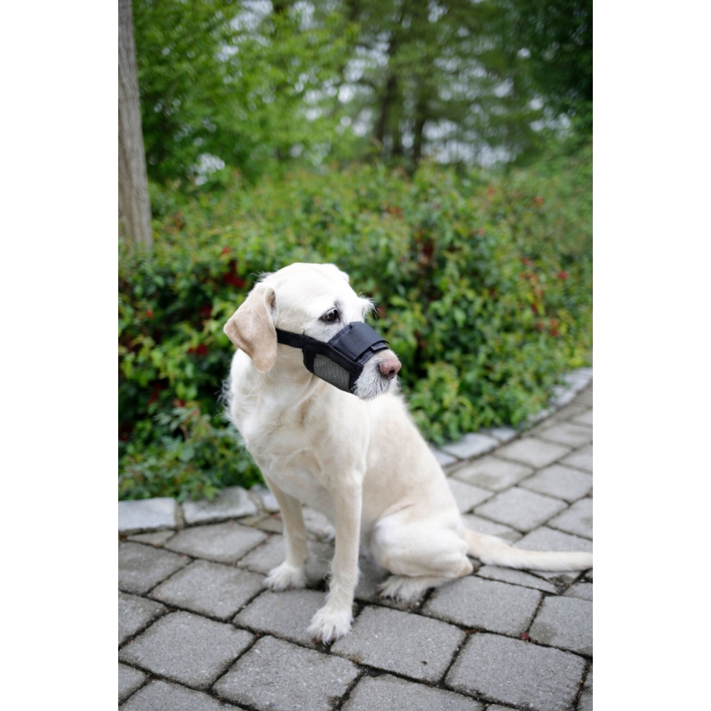 Muselière pour chien nylon T. L - 82146