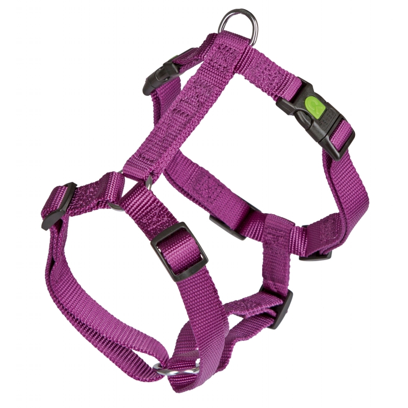 Harnas MIAMI, lila, 15 mm, 34 - 40 cm - 82157