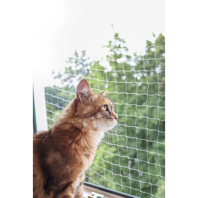 Filet pour chat transparent, 6 x 3 m - 82655