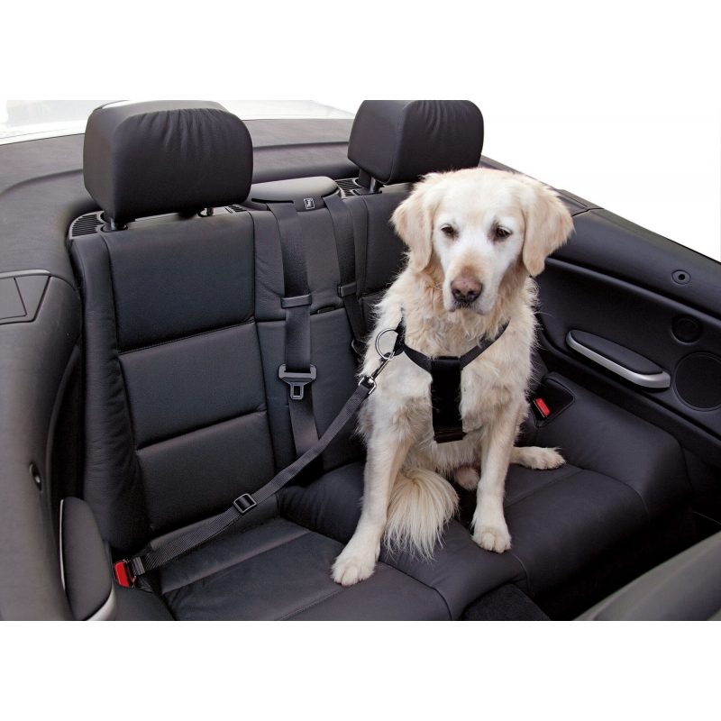 Veiligheidsriem voor honden - 83255