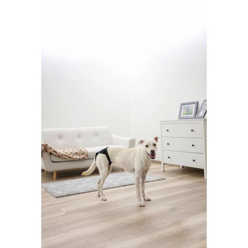 Beschermend broekje voor honden - 83439