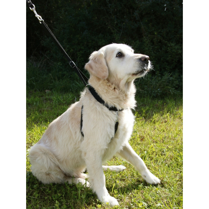 Harnais pour chien Maxi Leader noir, T.1, 25-30cm - 83720