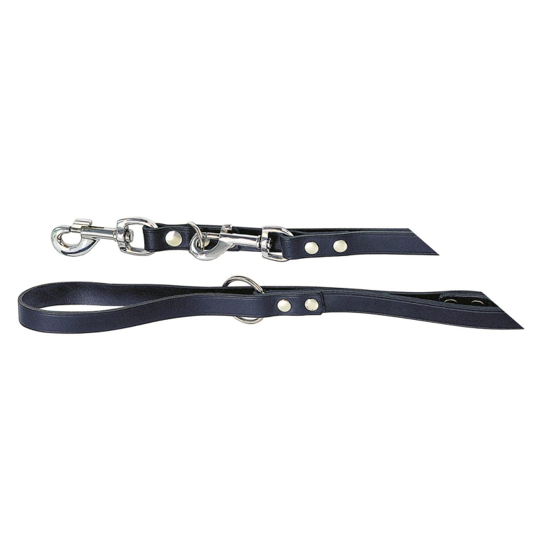 Laisse longue pour chien Mexica, noire, 18mm 200cm - 83823