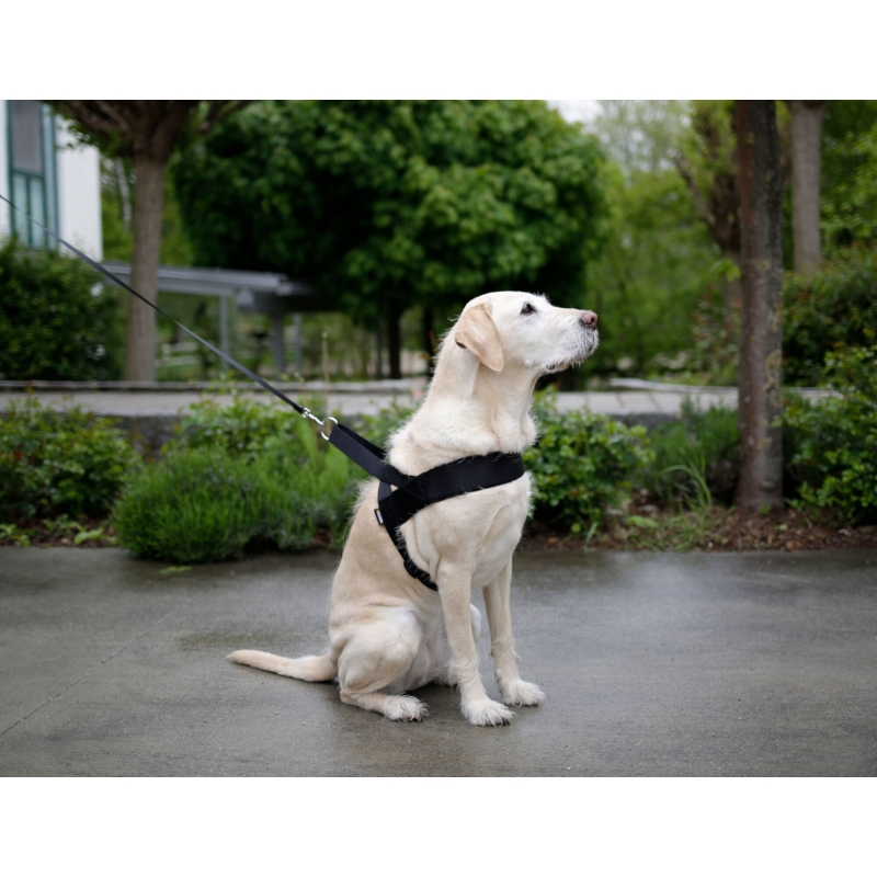 Harnais pour chien Miami Plus noir, 70-90cm - 83942