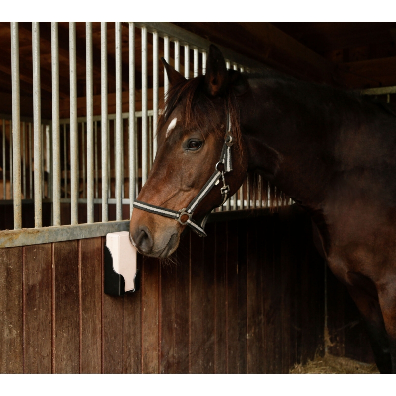 Liksteen Mineraal en Spoorelementen en Bergkristal voor paarden 2 KG - PRIJS PER LIKSTEEN AFZONDERLIJK - 324804