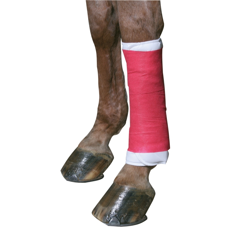Bandage autoadh&eacute;sif Equilastic 10cm, rouge - 1694