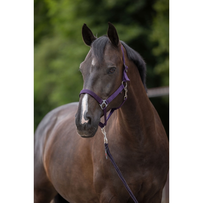 Nylonhalster Hippo, maat 00 - aubergine - 3222135