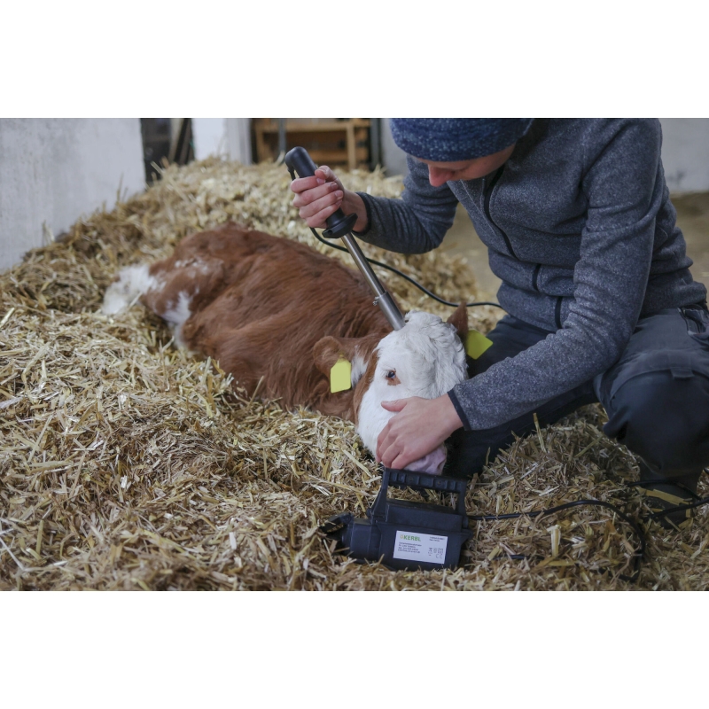Ecorneur Eurofarm avec Transfo 24V-250W - 17460
