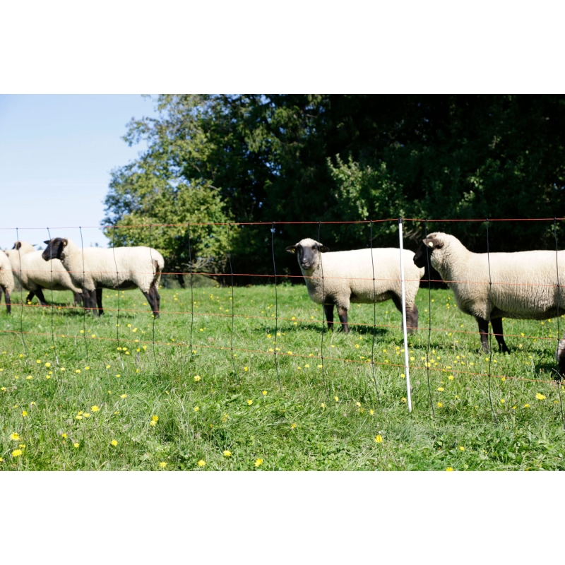 TitanLight Net Agrodieren - 27351