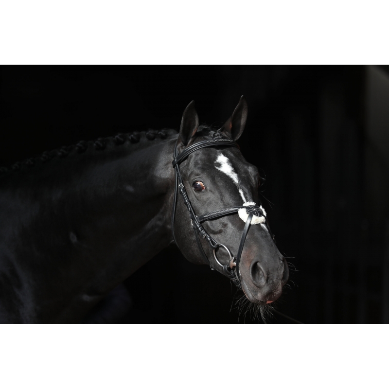 Trenshoofdstel agrodieren - 3297734