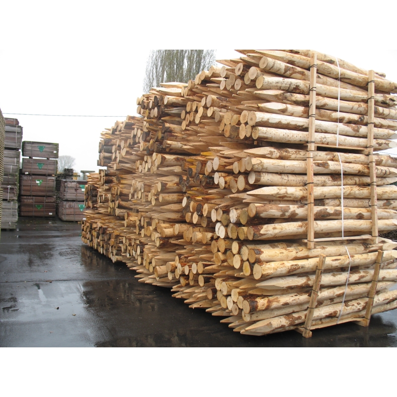 foto fr - KAST-P-H160-DIA10-12CM