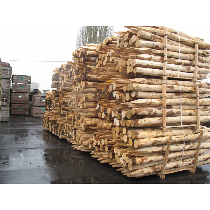 foto fr - KAST-P-H300-DIA12-14CM