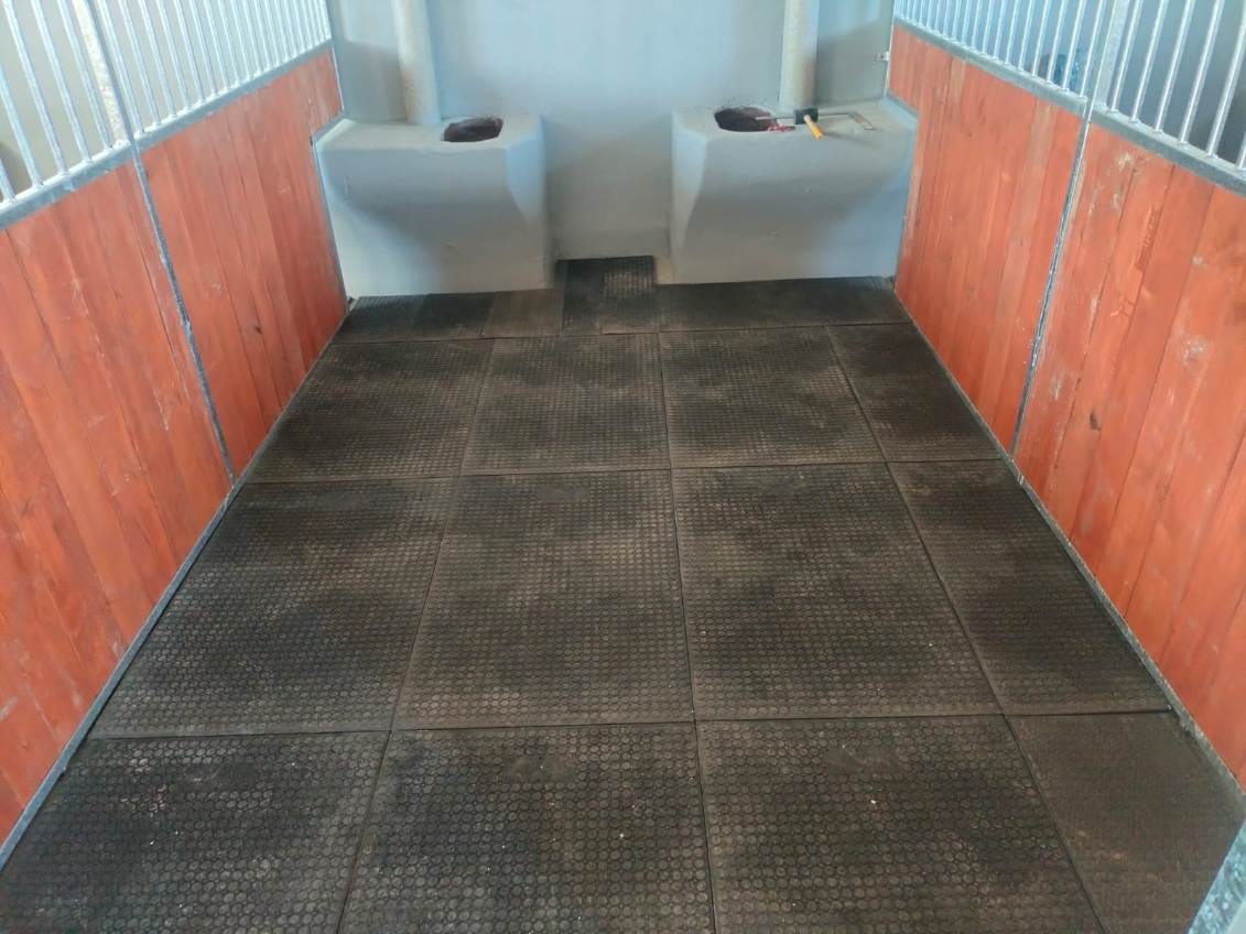 créez un espace confortable pour vos chevaux