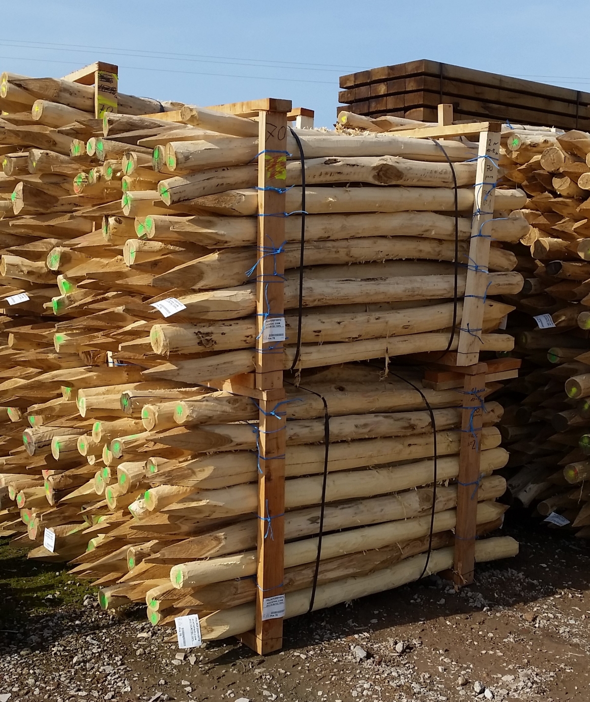 AGRODIEREN - ontdek onze ruim aanbod acacia weidepalen robinia weidepaal houten weidepaal in acacia robinia hout - groot aanbod met snelle afhaling of levering of plaatsing