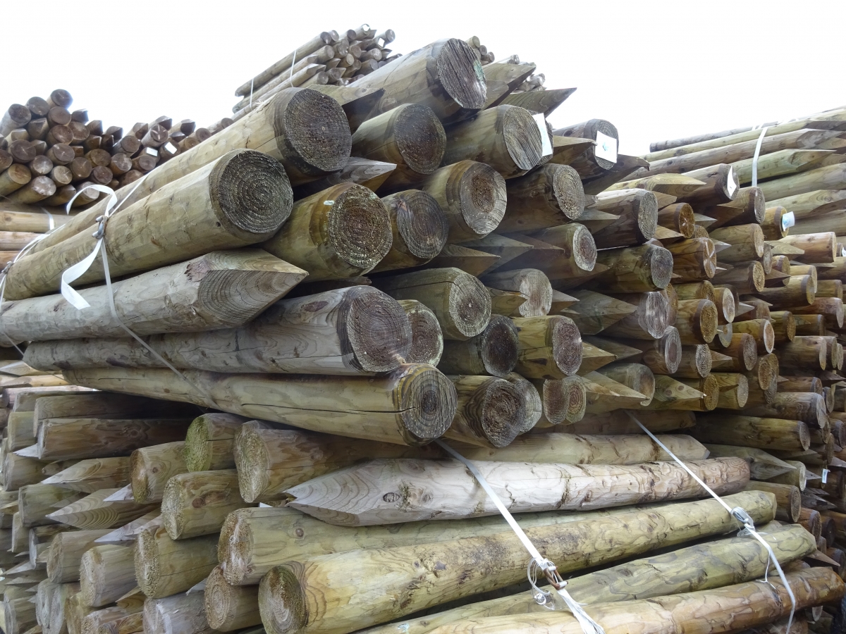 AGRODIEREN - ontdek onze ruim aanbod houten weidepalen ontschorste weidepaal in dennenhout - groot aanbod met snelle afhaling of levering of plaatsing