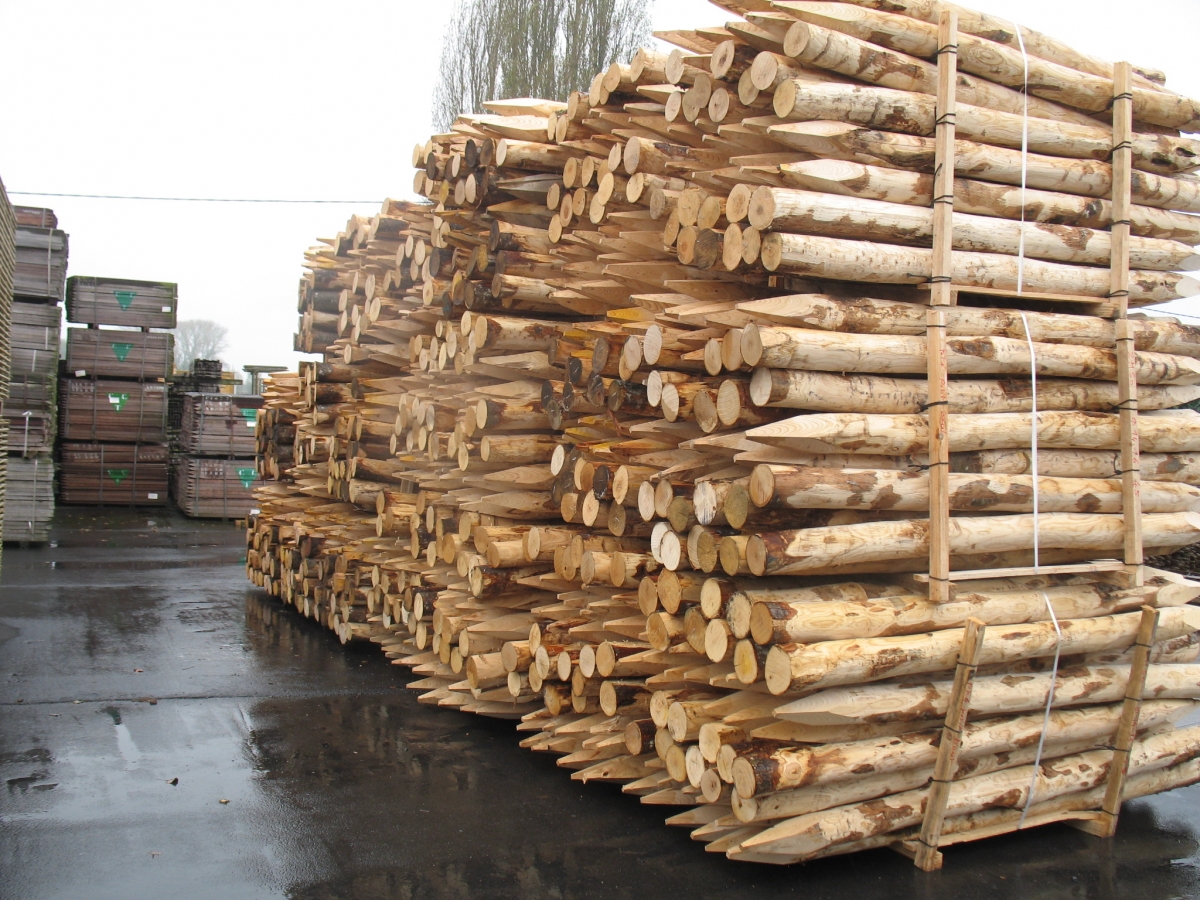 AGRODIEREN - ontdek onze ruim aanbod kanstanje weidepalen houten weidepaal in kastanjehout - groot aanbod met snelle afhaling of levering of plaatsing